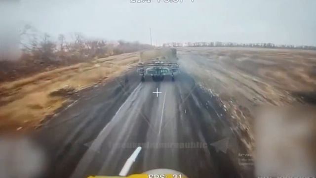 жесть