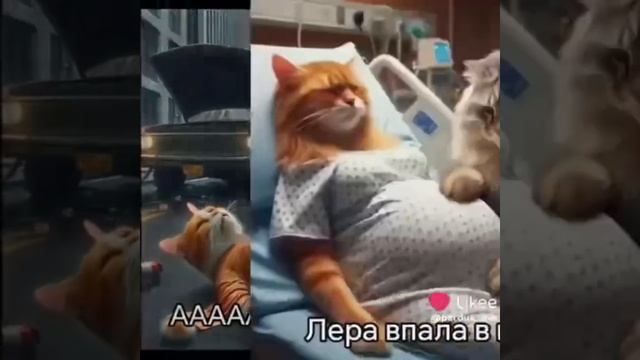 Тимоха