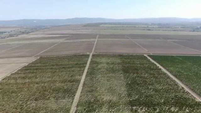 Уникальный земельный участок для развития виноградарства и виноделия