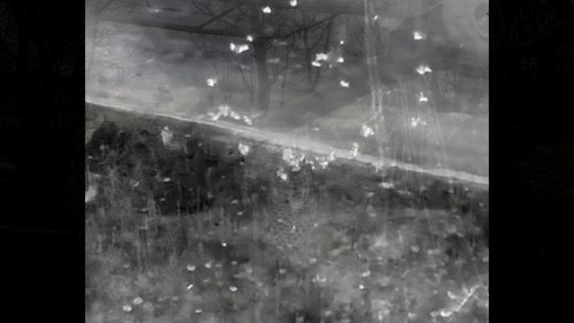 Чёрная Лестница - На позиции