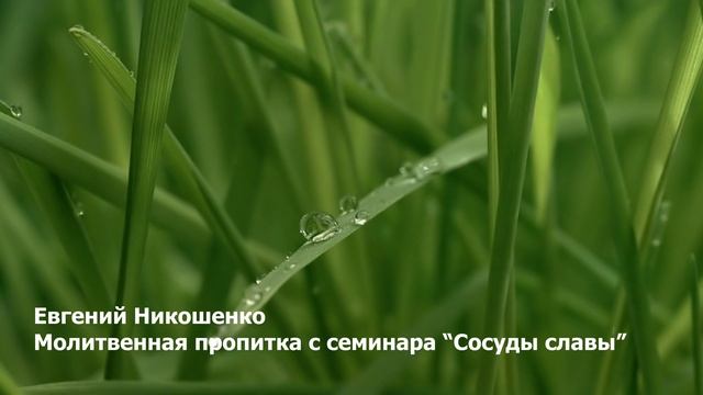 Молитвенная пропитка 4 - Евгений Никошенко (с семинара "Сосуды славы")