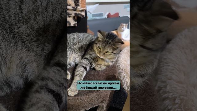 Марта.mp4