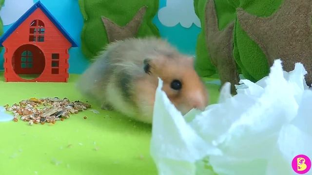 ОДИН в ЛЕСУ или ШКОЛА ВЫЖИВАНИЯ ОТ ХОМЯЧКА ЗЮМЫ