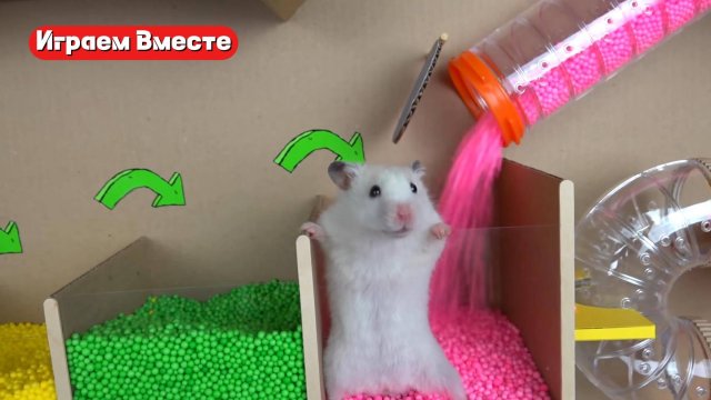 Лабиринт и бассейн с шариками для Хомяка !