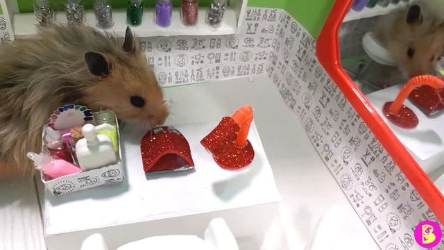 ХОМЯЧКИ В МИНИ ПАРИКМАХЕРСКОЙ** СМОЖЕТ ЛИ СНЕЖКА СТЕПАНОВНА УГОВОРИТЬ ЗЮМУ ПОДСТРИЧЬСЯ?