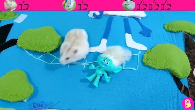 ХОМЯЧКИ ИЩУТ ТРоЛЛЕЙ Кто ПОБЕДИТ? НОВЫЙ ЧЕЛЛЕНДЖ ДЛЯ ХОМЯЧКОВ