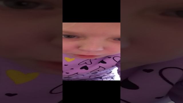 самая любимое животное