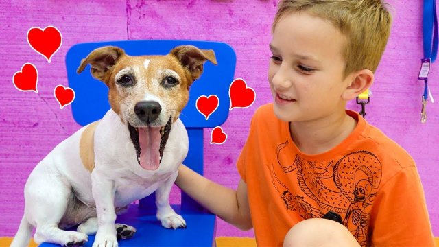 Влад и Ники УЧАТСЯ ухаживать за ЖИВОТНЫМИ и посещают ЗООСАЛОН! Интересные истории для детей.
