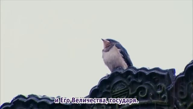 В плену любви 1 сезон 1 серия