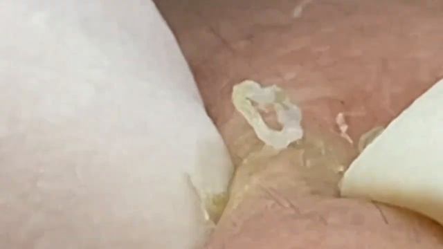 الوقت المناسب مع فيديوهات الغاز الطبيعي المسال #SDS1514