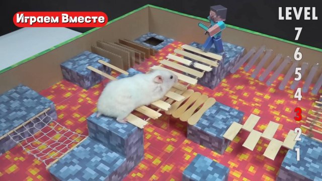 Хомяк попал в МайнКрафт лабиринт !
