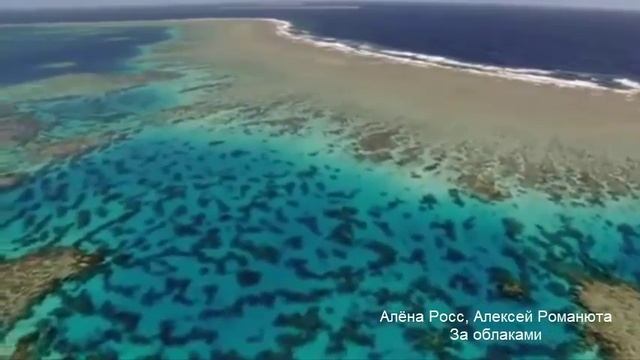 Алёна Росс, Алексей Романюта - За облаками