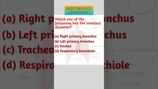 NEET Important Questions | NEET Biology | Breathing and Exchange of Gases | SUBSCRIBE FOR MORE