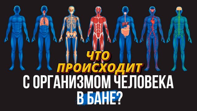 ЧТО ПРОИСХОДИТ С ОРГАНИЗМОМ ЧЕЛОВЕКА В БАНЕ