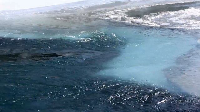 🕌 Сура 2 Аль-Бакара | Красивое Чтение Мишари Рашид Алафаси #СураАльБакара #алафаси ✨