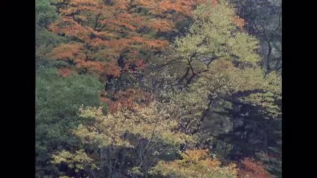 Музыка к фильму Сказка о звездном мальчике