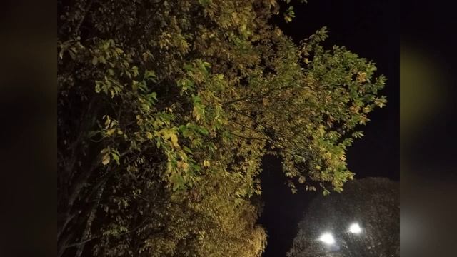 Осень в ночи