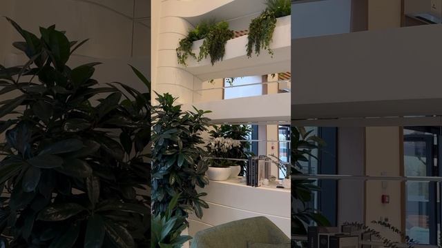 Презентация проектов Москвы для экспертов по недвижимости BARNES