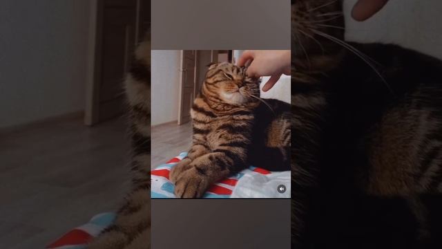 Федя❤️