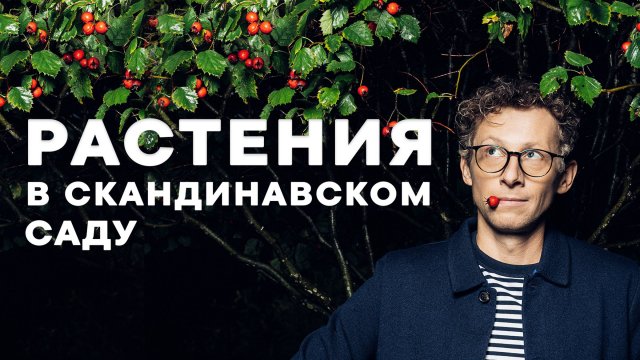 Обзор растений в Скандинавском саду от Петра Лари