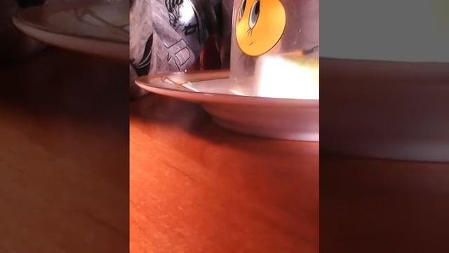 ФОКУС. :-)   со спичками. и. водой