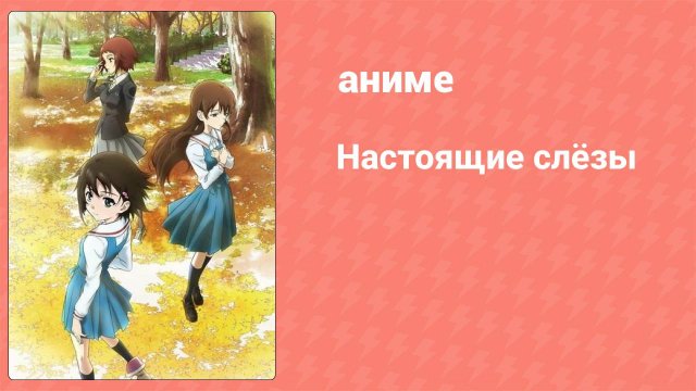 Настоящие слёзы 3 серия (аниме-сериал, 2008)