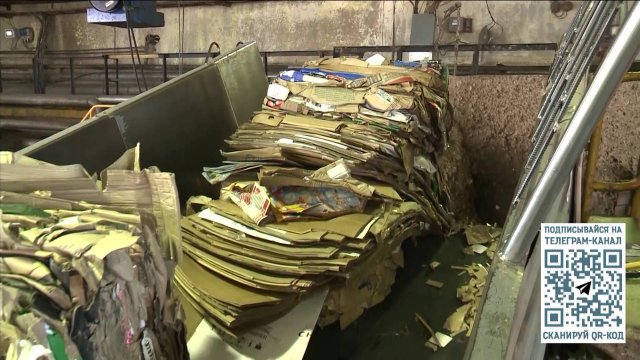 Вологодская область продолжает активно заниматься переработкой сырья