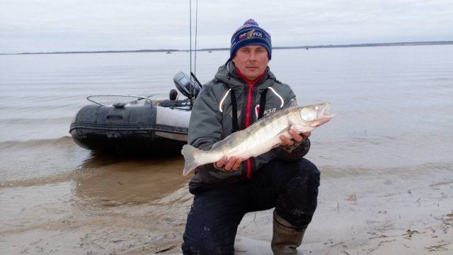 #судак вперемешку с #сазаном поездка по #Дону на жд мост🎣🐳🔥 #сазан #рыбалка #осень #Цимла #дон