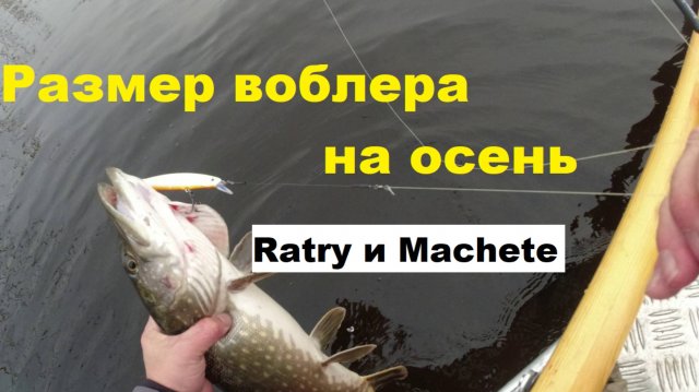 Размер воблера на осень. Почему не атакует активная щука. Ratry и Machete