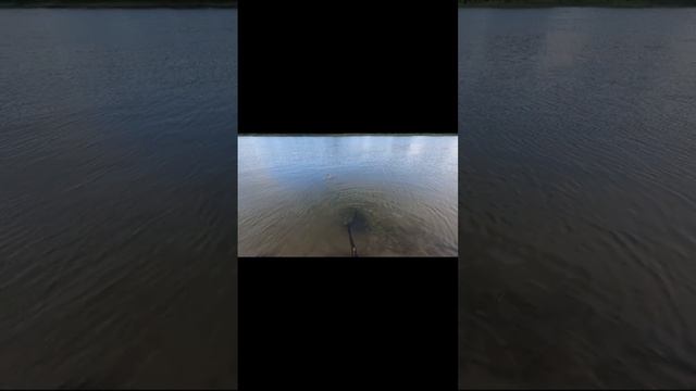 рыбалка в Астрахани #рыбалкавастрахани #fishing #рыбалка