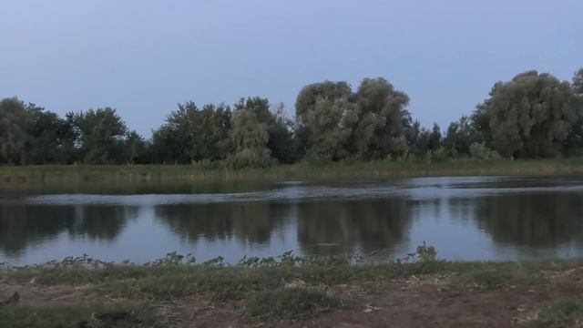 Одиночный поход на рыбалку в Астрахани Ловля сазана на жмых