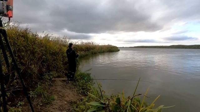 КОНЦЕНТРАЦИЯ РЫБАКОВ В АСТРАХАНИ ЗАШКАЛИВАЕТ Ну и мы с В ПОИСКАХ ЕРША туда же Рыбалка в самой дельте