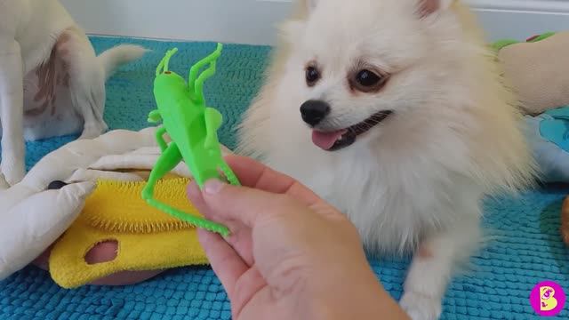 БУТЕРБРОД ЧЕЛЛЕНДЖ** ЧТО в МЕШКЕ? ЕДА или ГАДОСТЬ?** ВЫБЕРИ ПРАВИЛЬНЫЙ ИНГРЕДИЕНТ