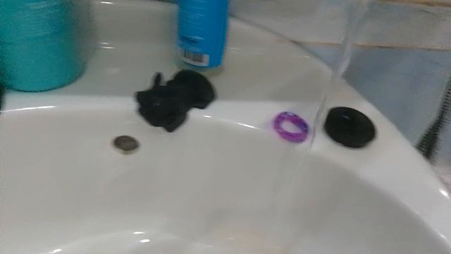 у собачек банный день🧋