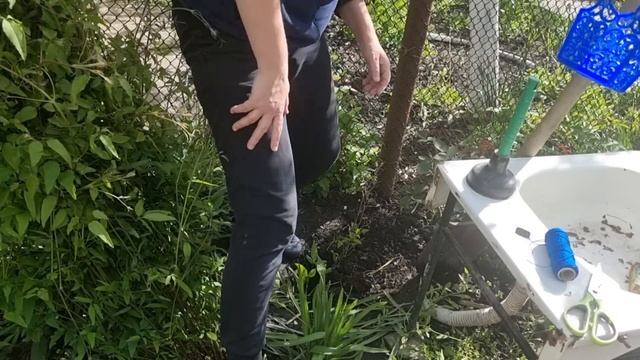 Делаем вентиляцию в уличном туалете, Размножается клематис легко и просто! Дача за городом