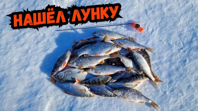 Рыбу нашёл уже под вечер - безмотылка без кивка