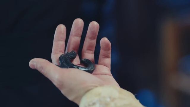 Принцесса Вэйян 1 сезон 50 серия