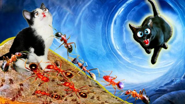 С КОТЁНКОМ беда! Он попал в Муравейник! А Кошки оказались в ПОТУСТОРОННЕМ Мире!