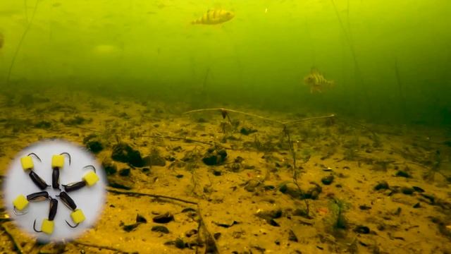 Реакция рыбы на Кучу Мормышек. Зимняя рыбалка и подводная съемка.