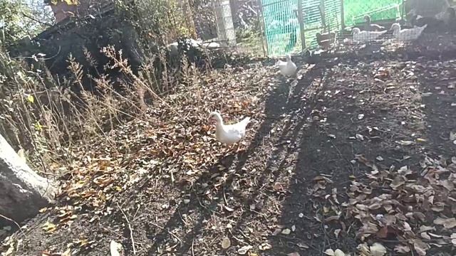 Воскресенье-день чудесный. Получили новые очки.