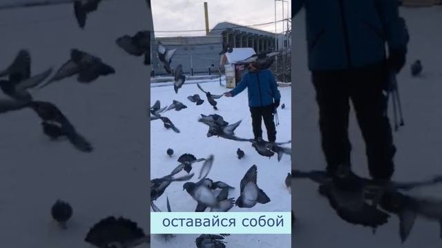 Сторис Готовое видео