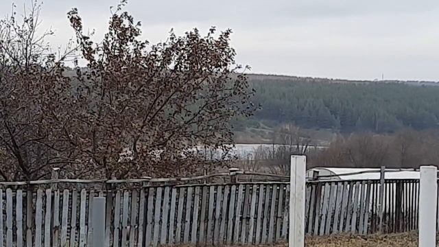 Первый зимний сезон в деревне!
