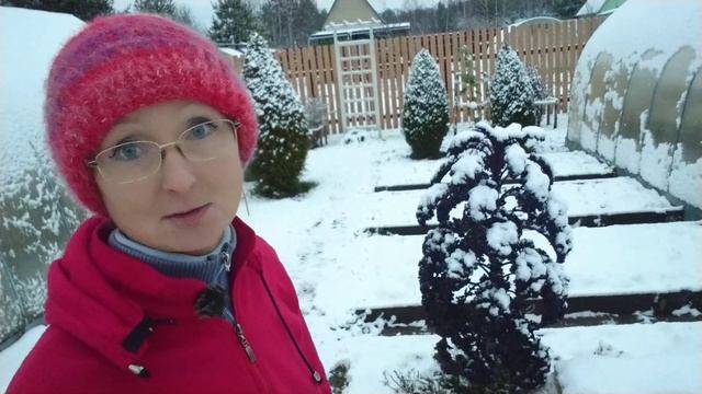 Видео привет с 6 соток 20 ноября 2024 года. Хроника.