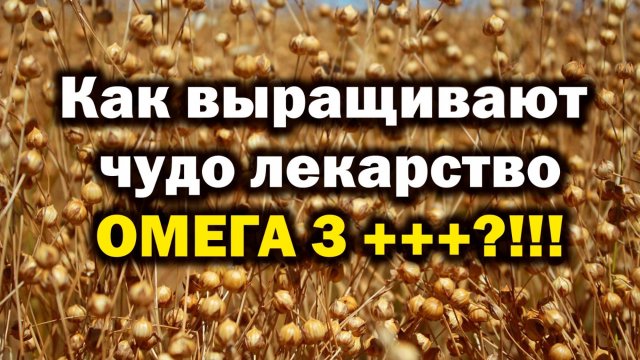 Хорошо,что у нас в России есть лучшие в мире биотехнологии! Башинком, д. б. н. Владислав Сергеев, Ан