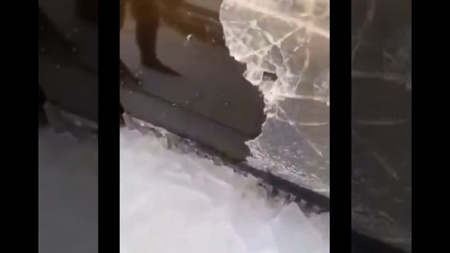 Помогли