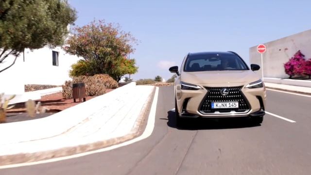Новый Lexus NX 2025 модельного года : Гламурный кроссовер осмелел на внедорожья !