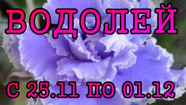 ВОДОЛЕЙ таро прогноз на неделю с 25 НОЯБРЯ по 1 ДЕКАБРЯ 2024 года.