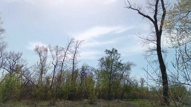 Радио-рыбалка