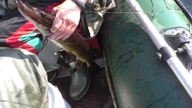 Рыбалка в Карелии! В сентябре на лесном озере!