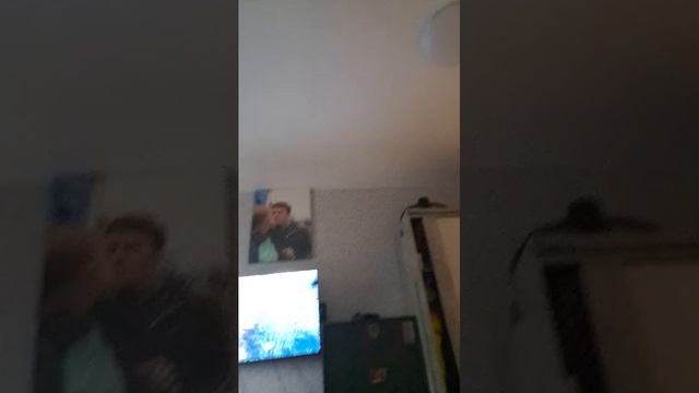 т.
